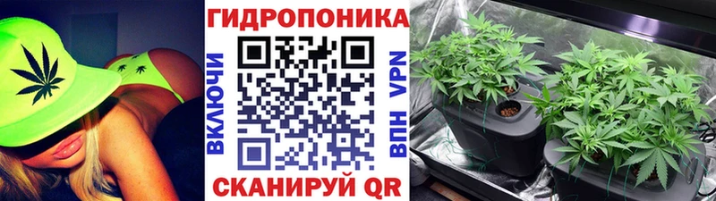 Бошки марихуана SATIVA & INDICA  KRAKEN ТОР  Бодайбо 